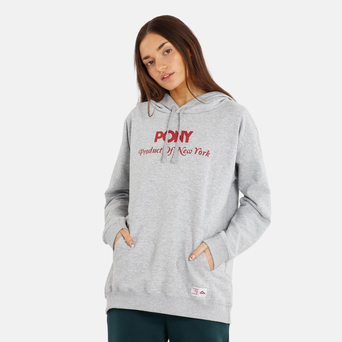 Buzo Hoodie Alpine W